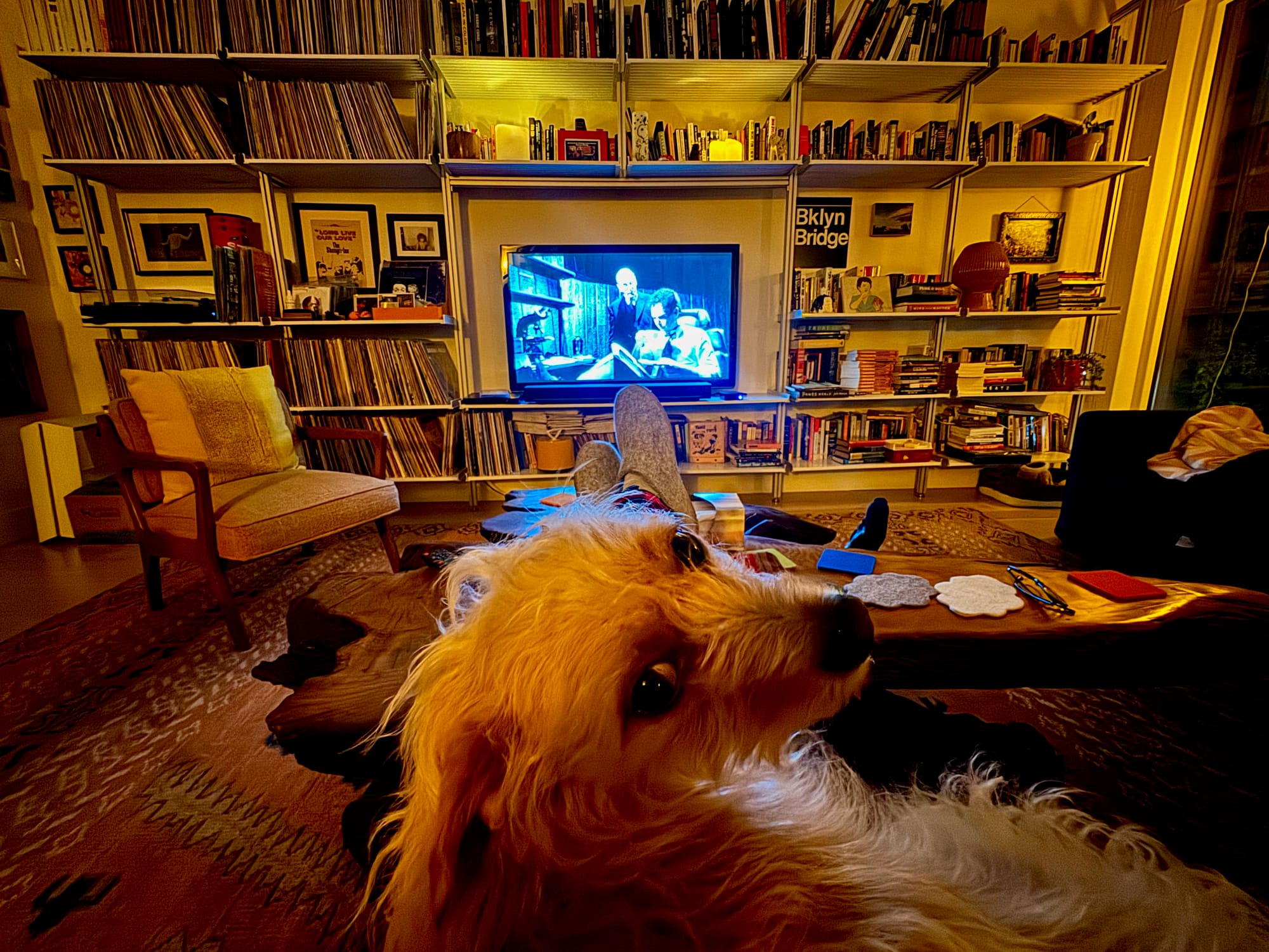 All About this newsletter - aka - Mistakes Were Made