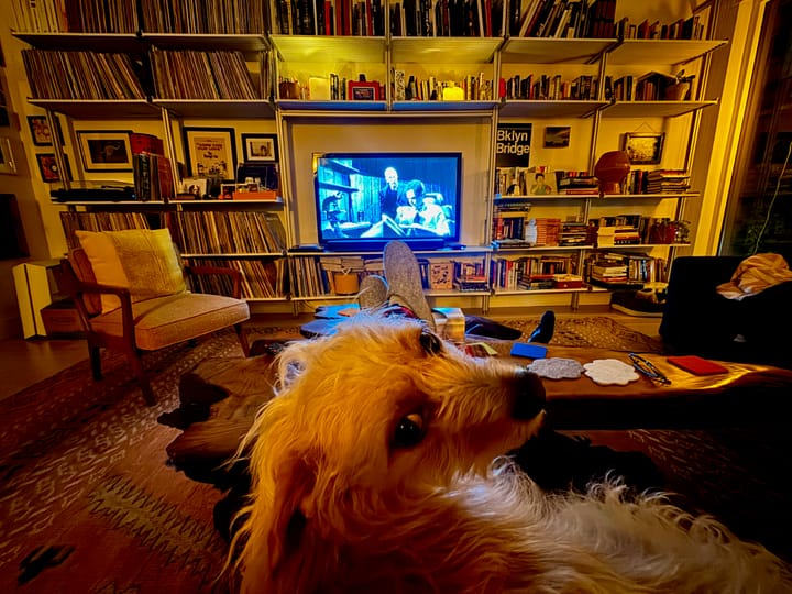 All About this newsletter - aka - Mistakes Were Made